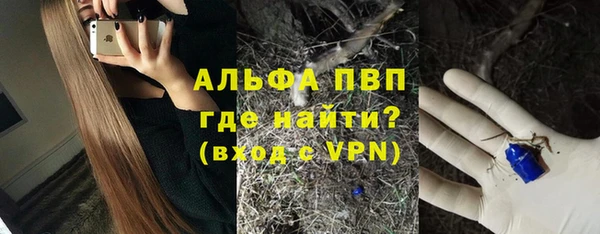 дживик Богородицк