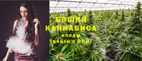 дживик Богородицк